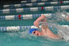 Swimming vs Babson  Wheaton College Swimming & Diving vs Babson College. - Photo By: KEITH NORDSTROM : Wheaton, Swimming
